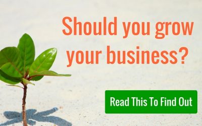 Is Growing Your Business The Answer?